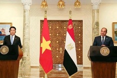Vietnam and Egypt elevate bilateral relations to Comprehensive Partnership