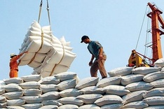 Vietnam rises to second place in global rice exports