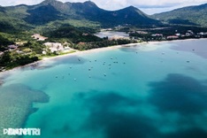 Six electric bus routes to run on Con Dao Island
