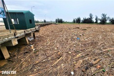 Nearly 700 tonnes of rubbish engulf Ha Tinh fishing port after floods