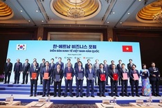 Vietnamese, Korean leaders witness exchange of major cooperation documents