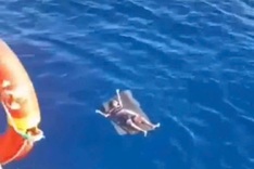 Fisherman survives 24 hours adrift at sea