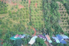 Cracks on Lam Dong hill spark landslide fears