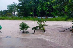 Heavy rain floods parts of HCM City and Dong Nai