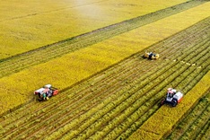 Vietnam moves toward low-emission farming to boost sustainability, exports