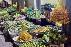 Thai fresh dates hit record low prices in Vietnam