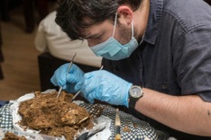 13,000-year-old human skeleton discovered in Ninh Binh cave