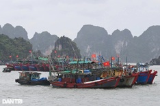 Quang Ninh halts boat services due to Typhoon Tapah