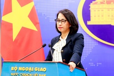 Vietnam ready to take citizen protection measures in Nepal, Qatar