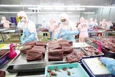 Vietnam seafood industry reeling after US import ban decision