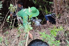 Two tourists rescued after 25-metre plunge in Lao Cai
