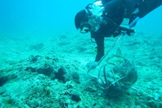 Two divers suffer deadly accident off Quang Tri