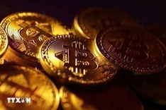 Vietnam records over 220 billion USD in crypto asset flows in 2025