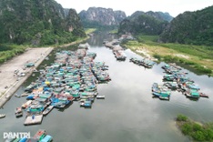Typhoon Matmo to move along Vietnam-China border, bringing heavy rain