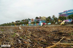 Thanh Hoa beach devastated after Typhoon Bualoi