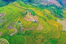 Lao Cai halts Muong Lo Culture and Tourism Festival