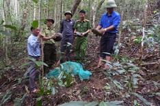 Four rare animal species released into the wild in Gia Lai