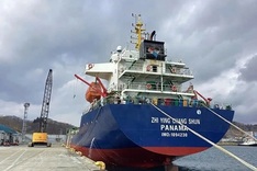 Panamanian ship detained at Vietnam port over cargo damage claim