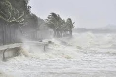 New tropical storm likely to hit the East Sea