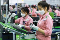 Vietnam’s fertility plummets, workforce quality concerns mount
