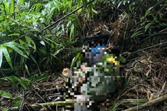 Lam Dong man feared trampled to death by wild elephant