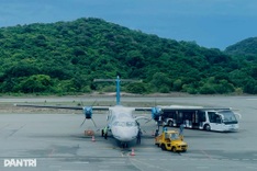 Six electric bus routes to open on Con Dao