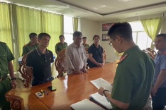 Vung Tau cable car company CEO arrested over illegal sea reclamation