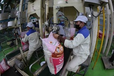 Vietnam approves content of MoU on rice trade cooperation with Singapore