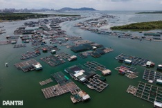 Exploring the charm of HCM City’s island commune