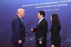 State President meets with US President, world leaders in RoK