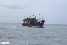 HCM City reports sharp decline in fishing boats detained overseas