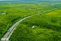 HCM City to build Can Gio mangrove forest park by 2030