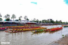 61 teams compete at Can Tho boat race festival