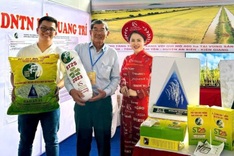Vietnam’s ST25 rice brand wins World’s Best Rice Award for third time