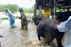 Central Vietnam braced for days of heavy rain