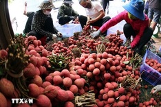 Bac Ninh boosts direct exports of key, advantageous products