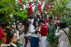 Hanoi alleyway embraces early Christmas spirit