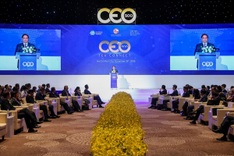 PM outlines Vietnam’s development strategy at CEO500 tea connect