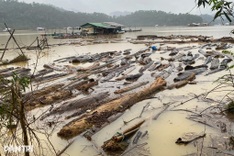 Nearly 90 tonnes of driftwood wash into Hue reservoirs after floods