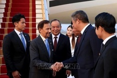 Sultan of Brunei arrives in Hanoi for state visit to Vietnam