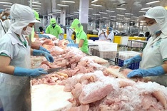 Vietnam seafood exports may reach USD 11 billion this year