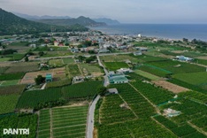 Vietnam lists nuclear projects in Khanh Hoa for operation by 2035