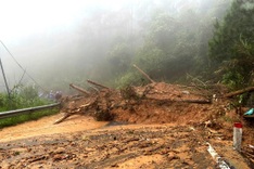 Heavy rain triggers new landslides on Dalat mountain passes