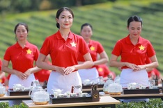 Over 1,000 tea artisans perform brewing ritual in Lam Dong