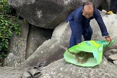 An Giang authorities capture 2-metre python after it slithers into home