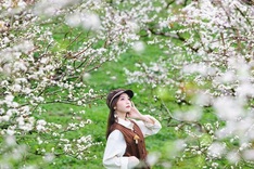 Hotels in Ha Giang and Sapa sell out ahead of New Year holiday