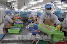 Vietnam’s seafood exports gain momentum in Singapore