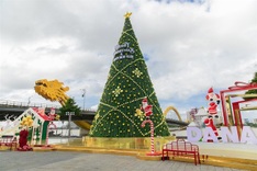 Danang river banks to stage 3-day New Year Festival