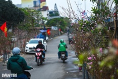 Northern and central Vietnam likely to see warmer Tet holiday