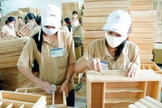 US delays higher wood tariffs, easing pressure on Vietnamese exporters